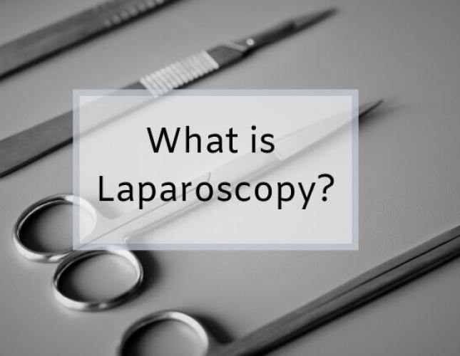 What is Laparoscopy, or Laparoscopic Surgery, for Pets?